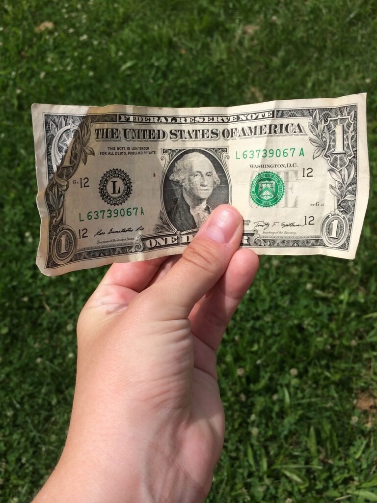 dollar bill, hand, grass, money, cash, nature, green money, money, money, money, money, money, cash